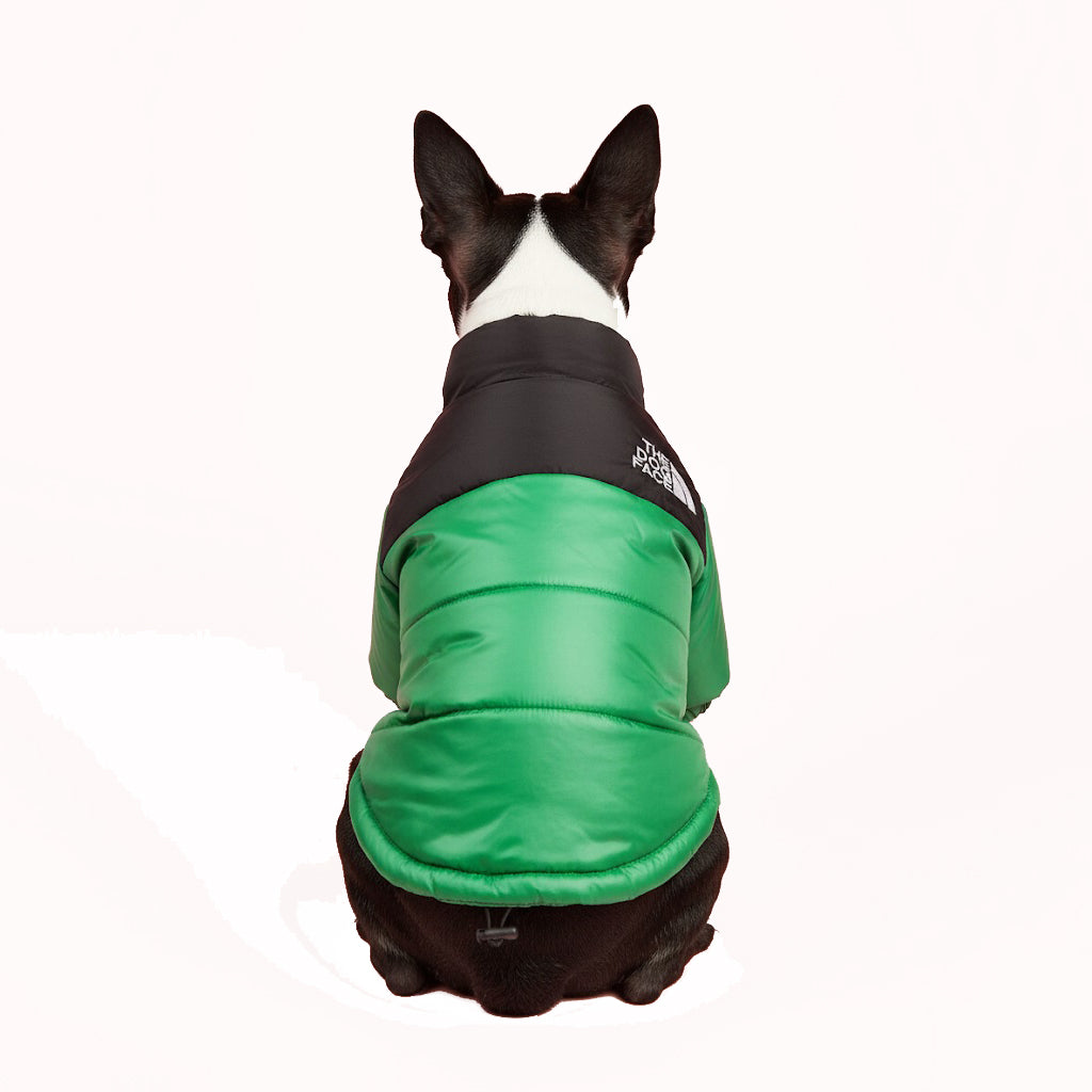 The Dog Face Winter Jacket
